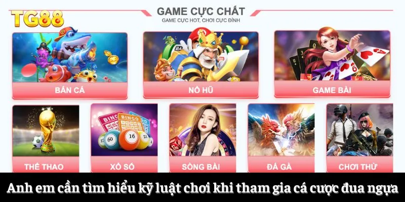 Anh em cần tìm hiểu kỹ luật chơi khi tham gia cá cược đua ngựa