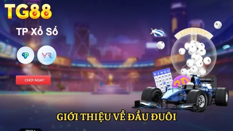 Giới thiệu về đầu đuôi