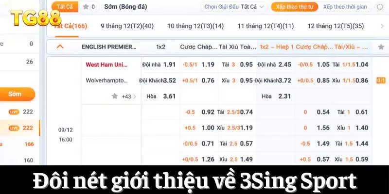 Đôi nét giới thiệu về 3Sing Sport